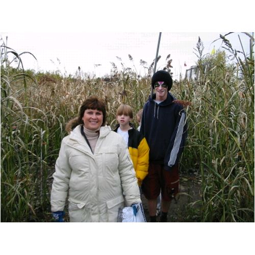 CornMaze2005 058.jpg